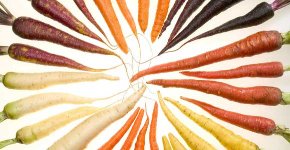 Раздельное питание: совместимость, таблица, продукты