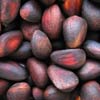 Как избавиться от волос на теле, ногах, руках
