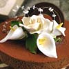 Как сделать торт (крем, глазурь, украшения, коржи, мастика)