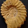 День археолога: история праздника
